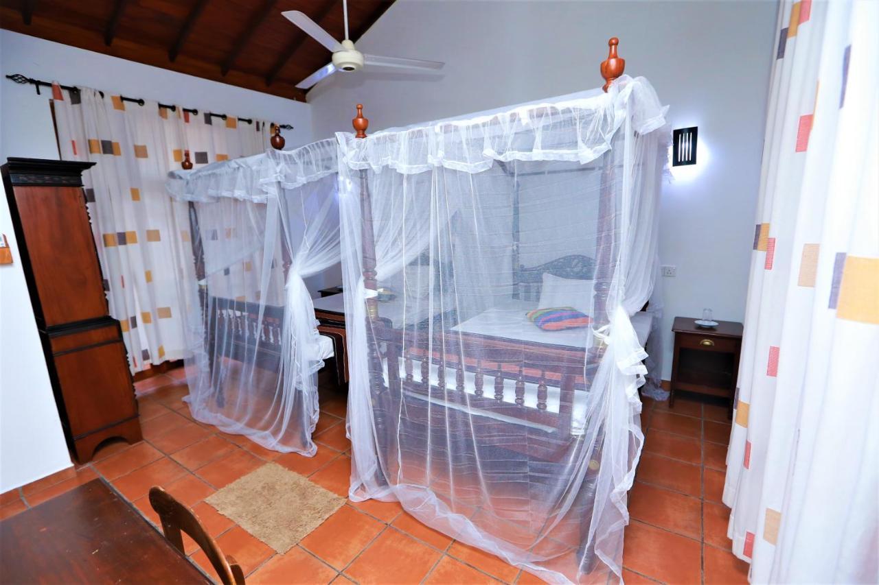 Rose 5 Bed & Breakfast