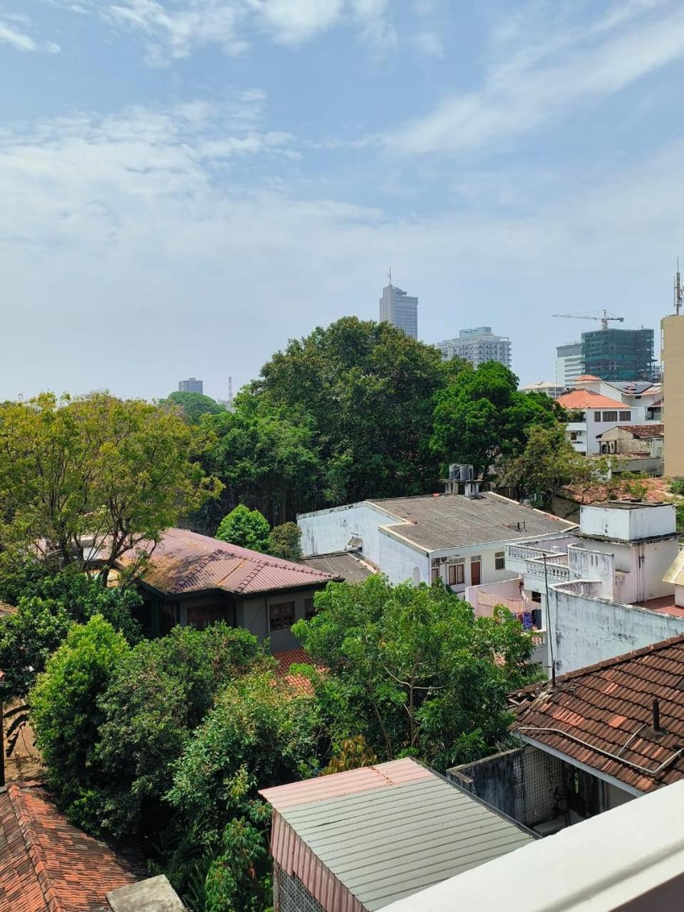Cozy * Colombo