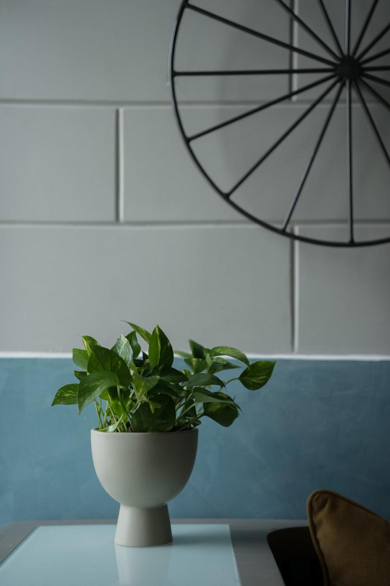 Sesaya Poshtel & Bistro - Colombo's Newest And Finest Poshtel Dorms And Colombo