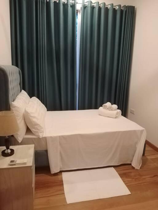 Apartment 2br In Capitol Twin Peaks 24th Floor Colombo
