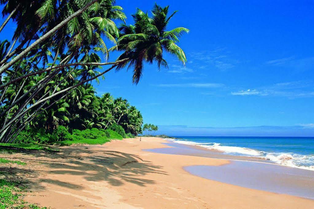 Ocean Breeze * Colombo
