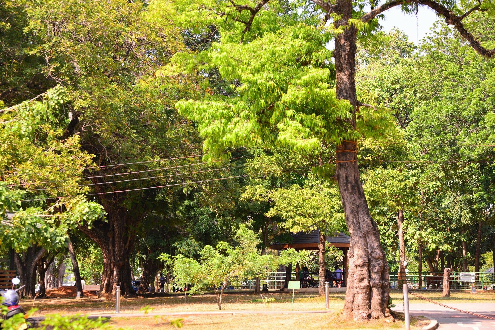 Colombo Villa Pousada Colombo
