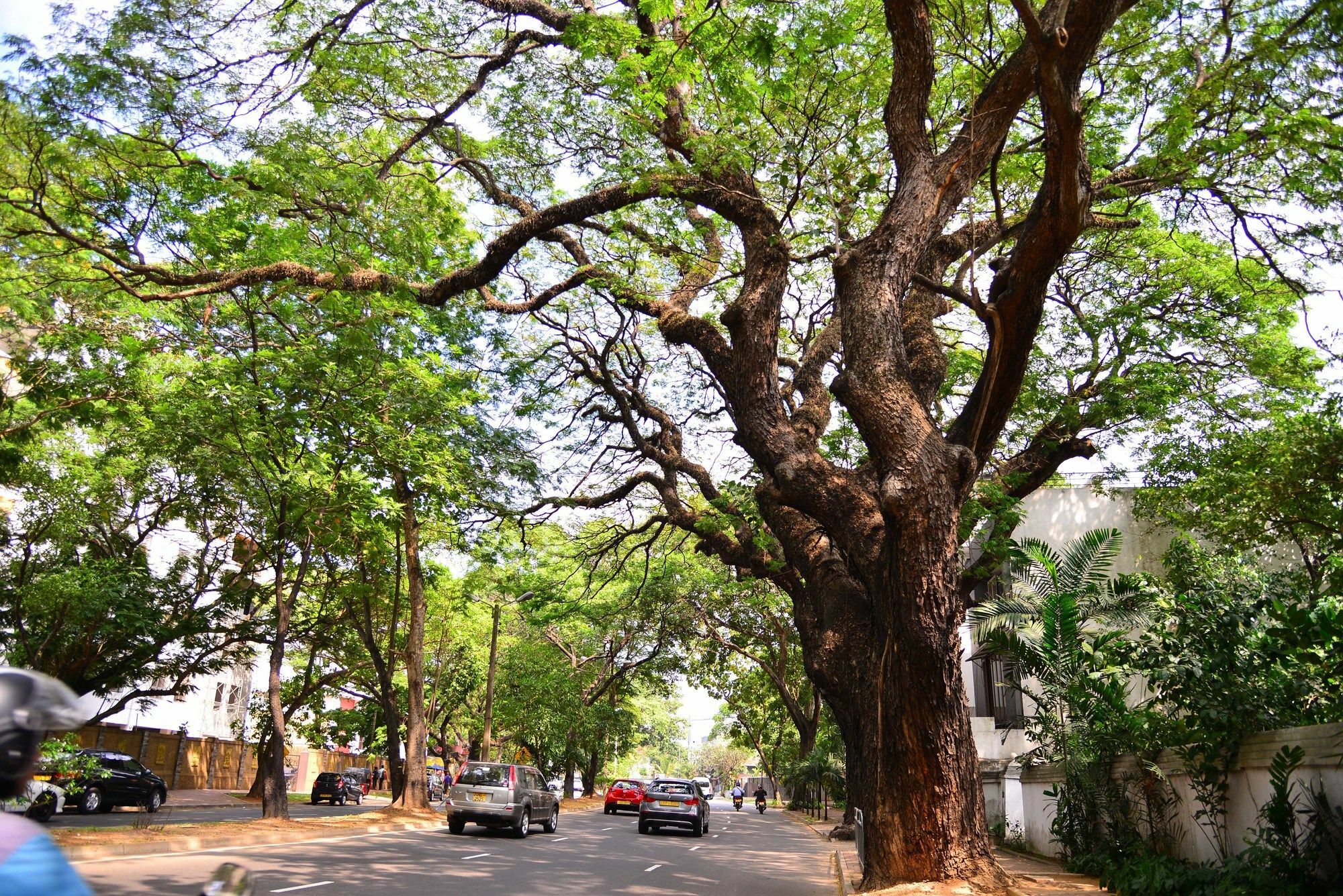Pousada Colombo Villa