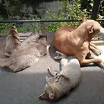 Mini\'S Residence
