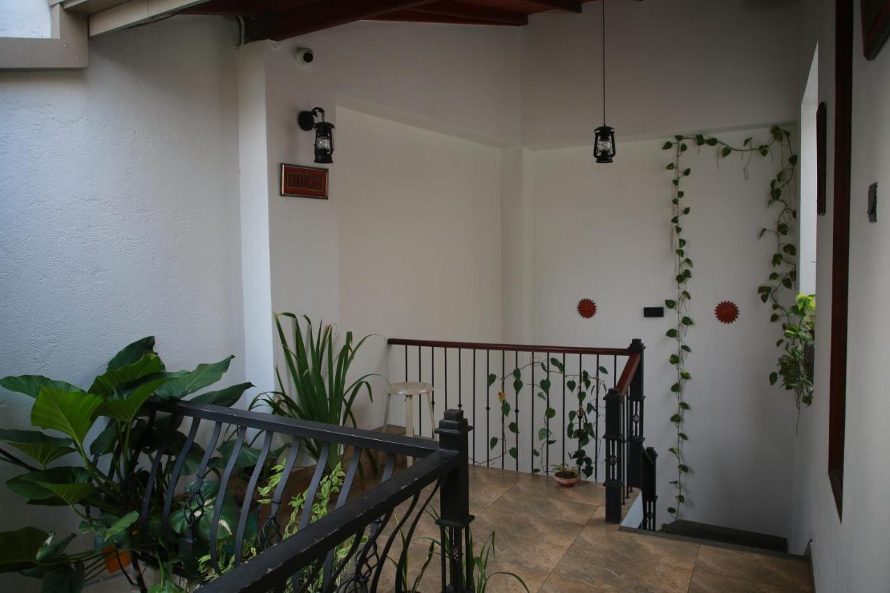 Homestay Orchid