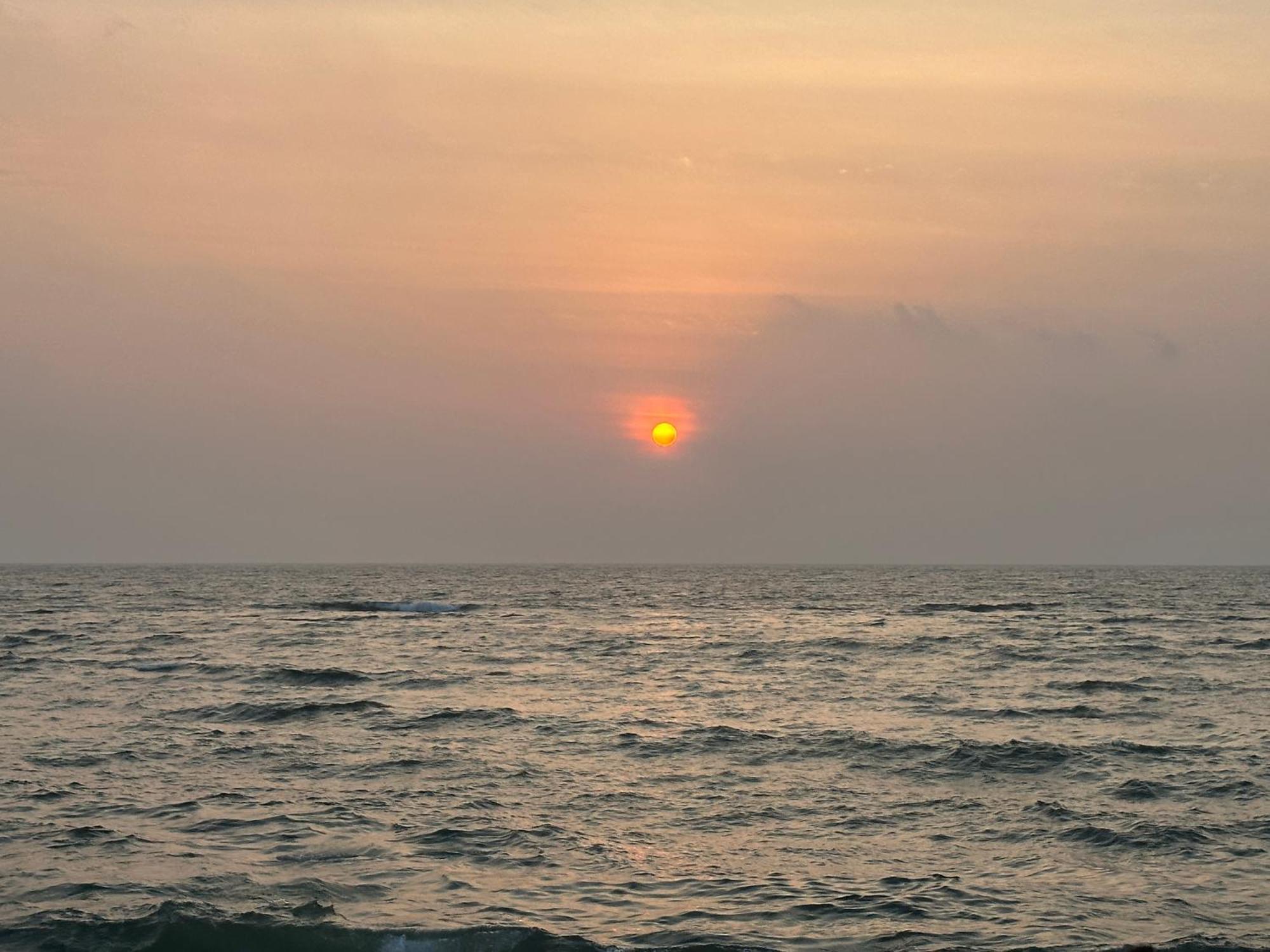 Nexus 25 Colombo