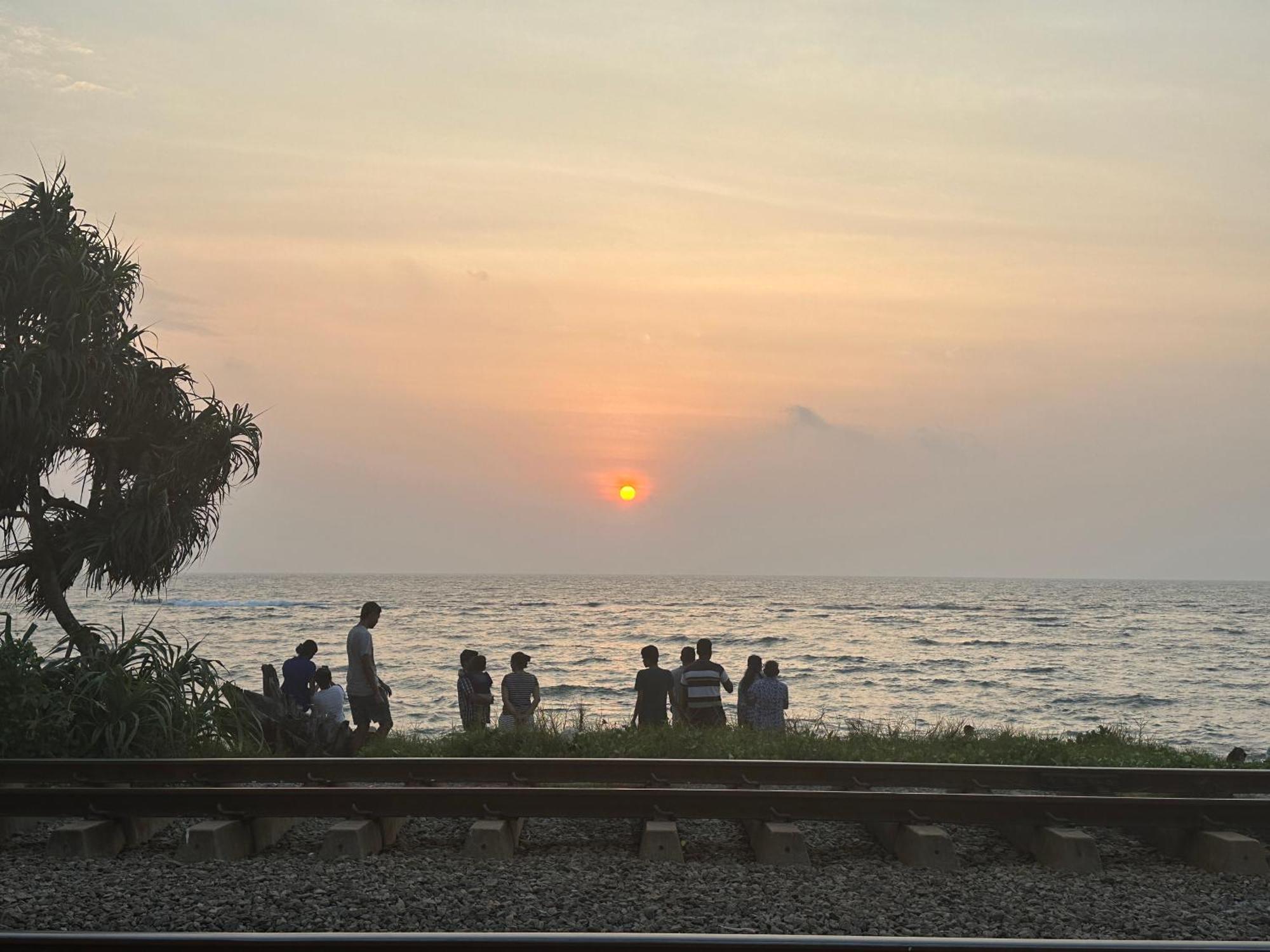 Nexus 25 Colombo