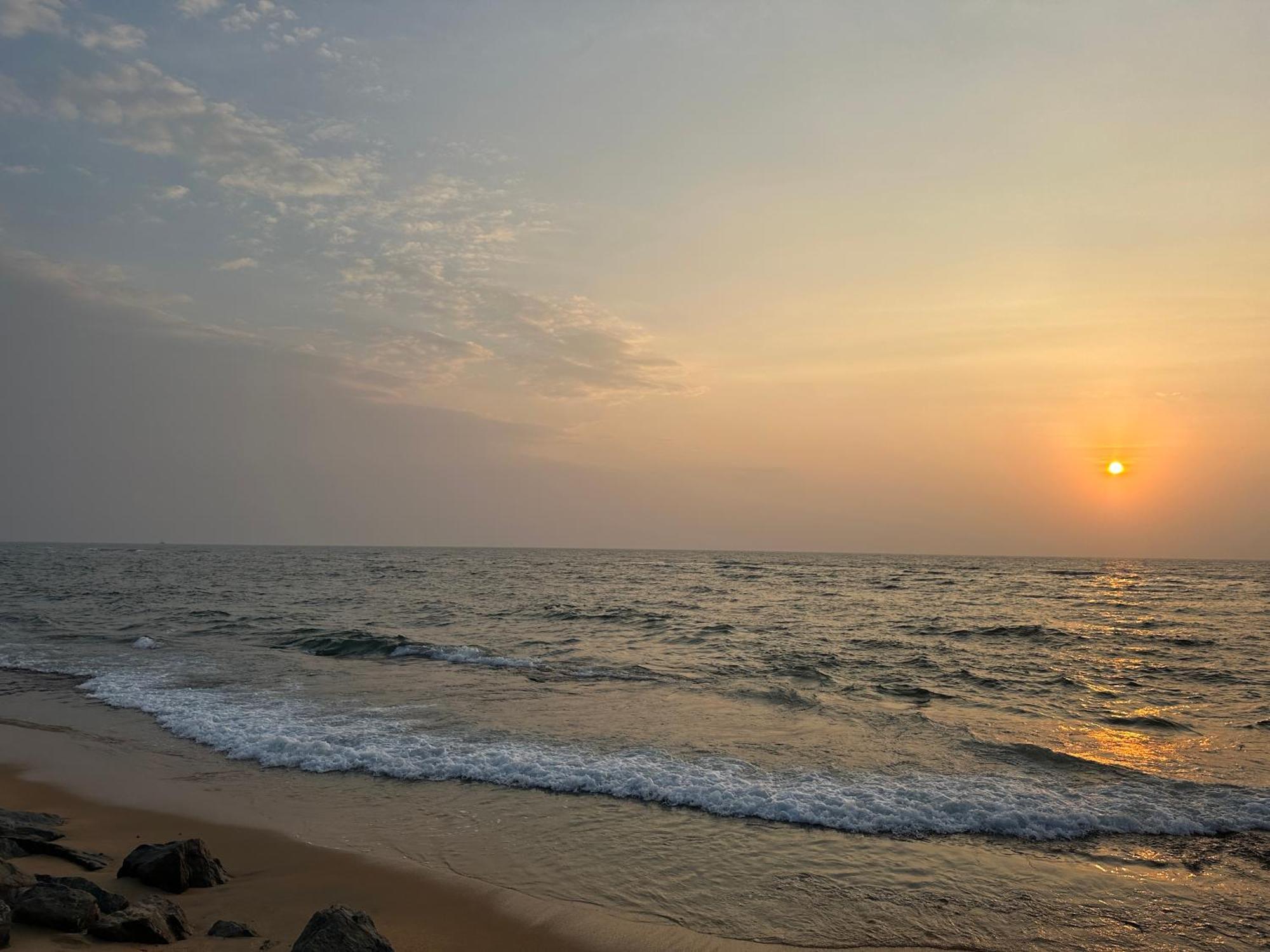 Nexus 25 Colombo