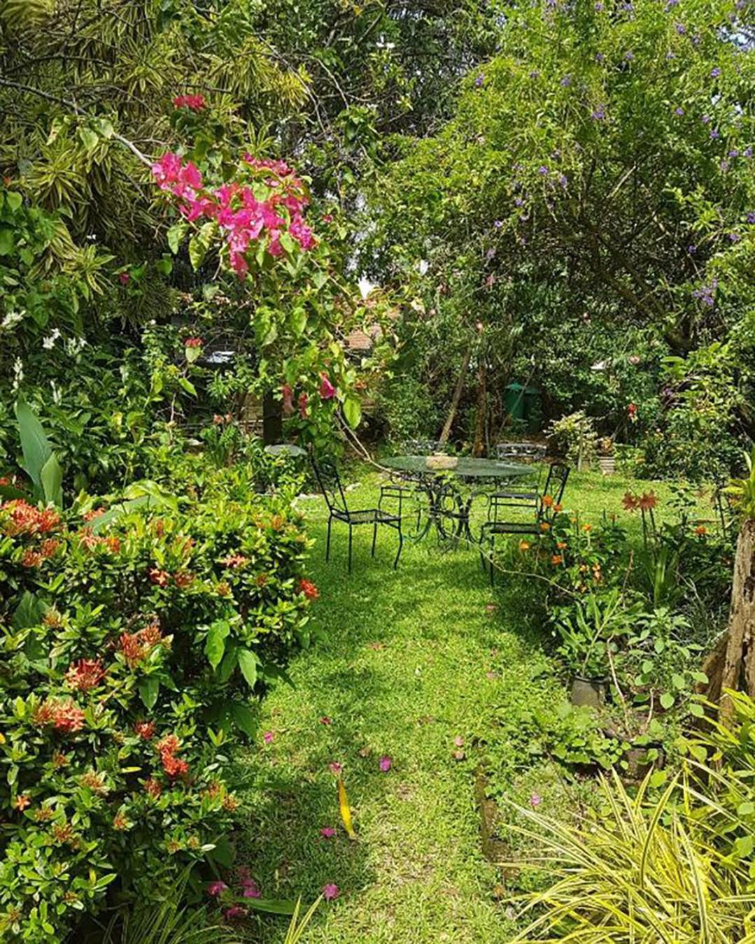 Highbury Homestay *