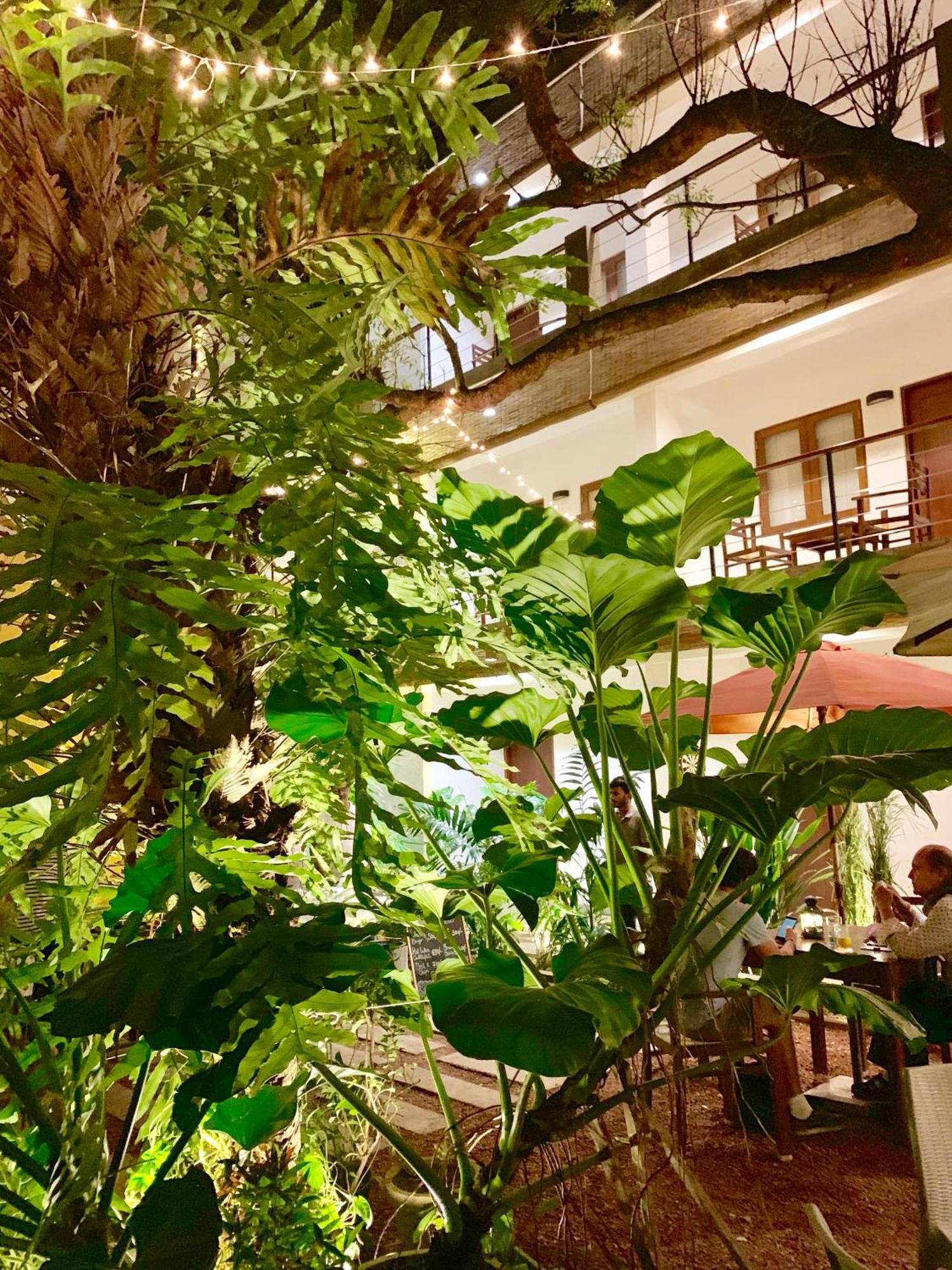 Guest house Sayura House 3*