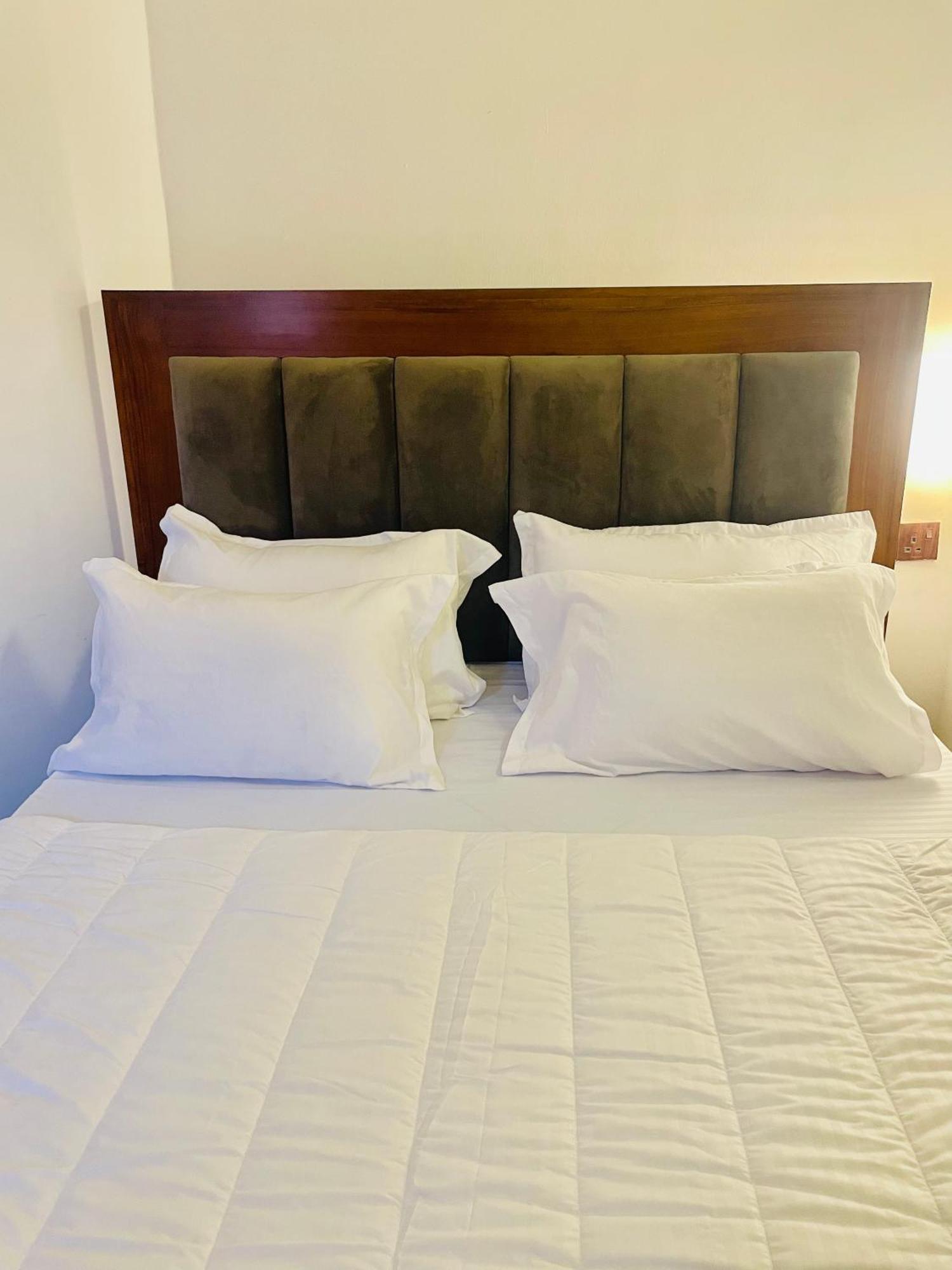 Hotel Vivid