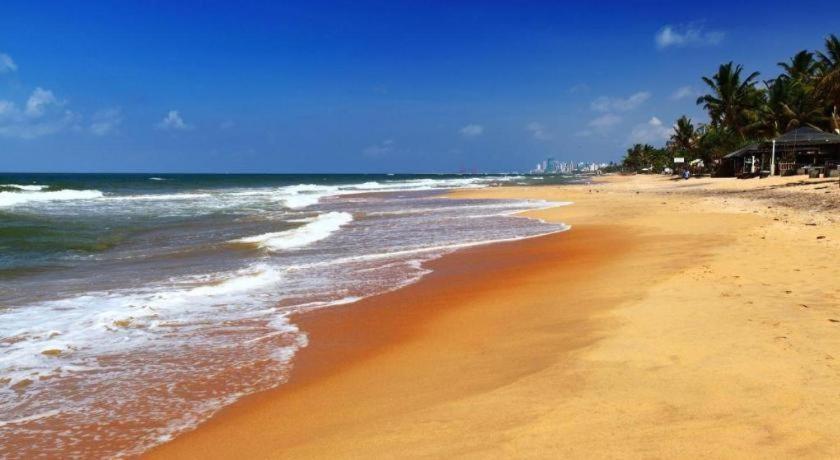 Sai Sea