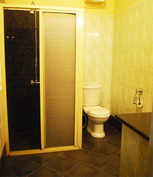 Hotel Indra Regent 2*