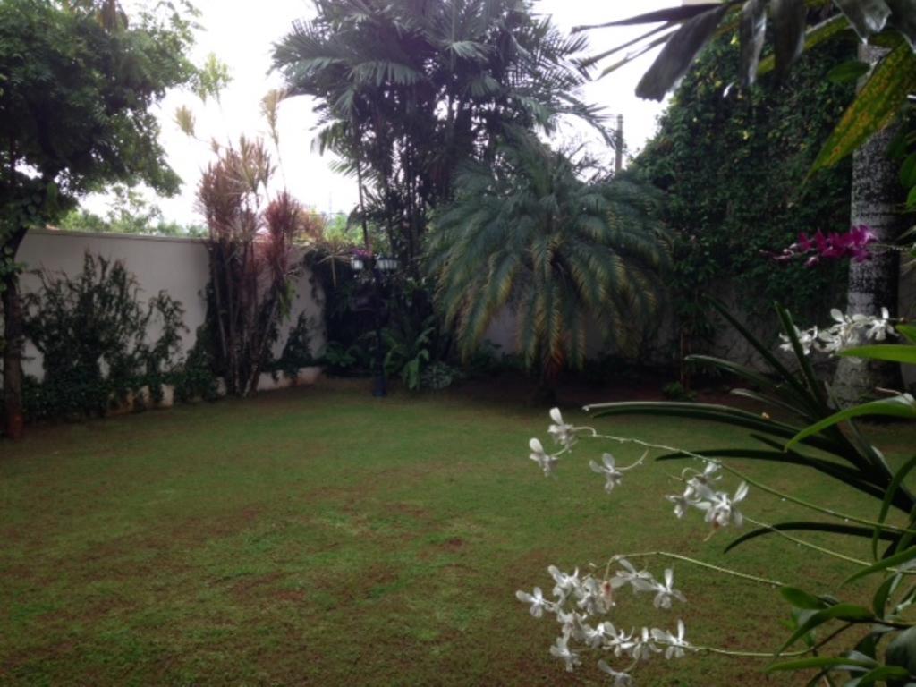 Silvikris Colombo