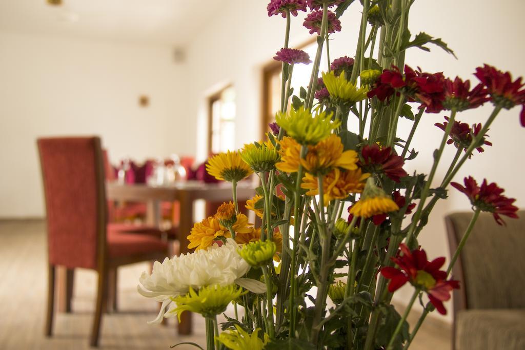 Ellen's Place Hotel 3*