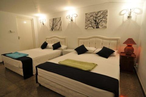 Haven Bed & Breakfast 3*