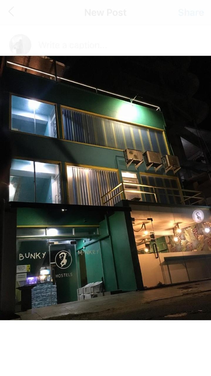 Bunky Monkey * Colombo