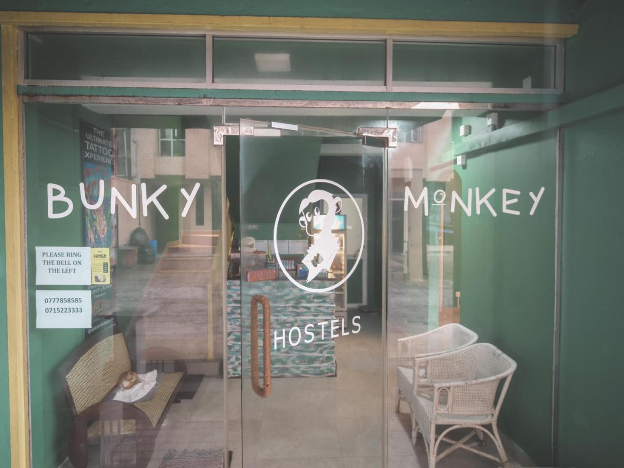Bunky Monkey * Colombo
