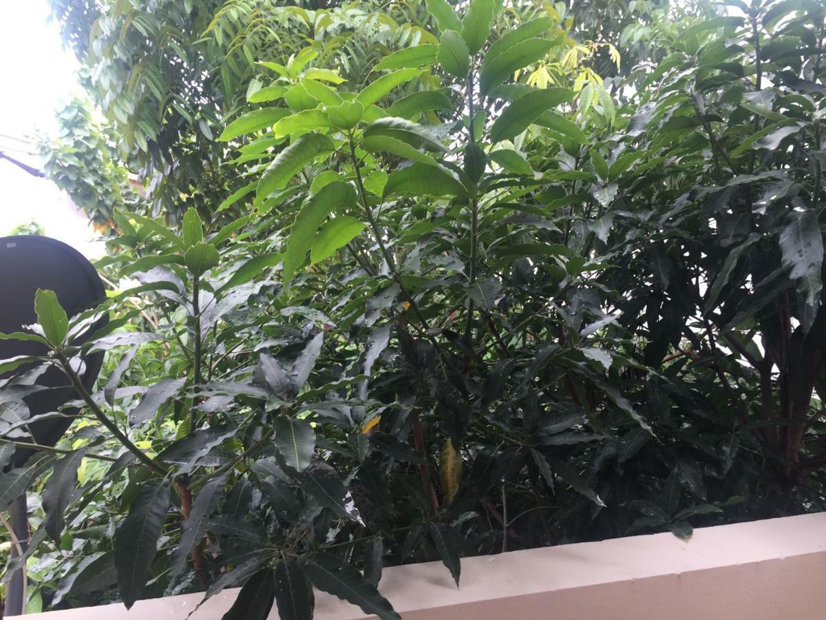 Apartment Green Woods Colombo