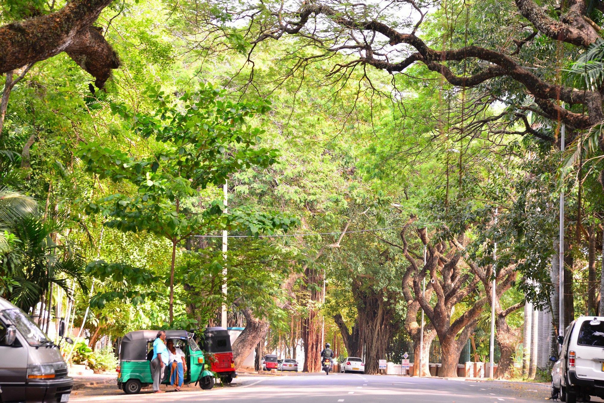 Colombo Villa * Colombo