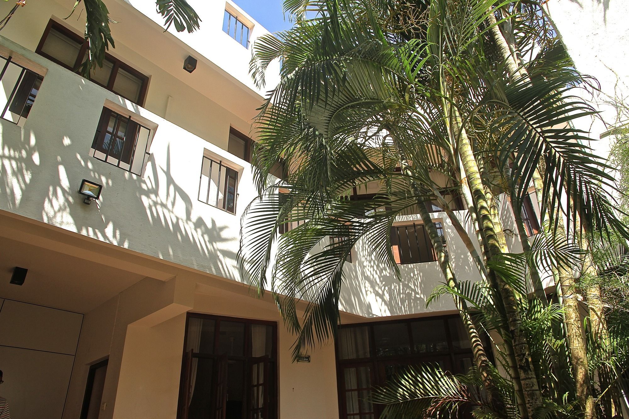 Lilac By Seclusion Colombo