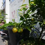 Colombo City Hostel