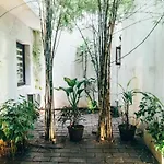 Moss Bnb Colombo