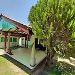 Green Garden