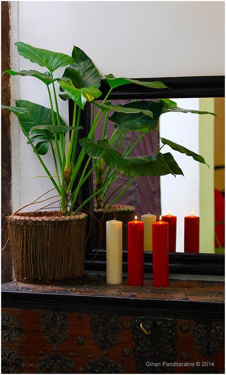 Reed Boutique 4* Colombo