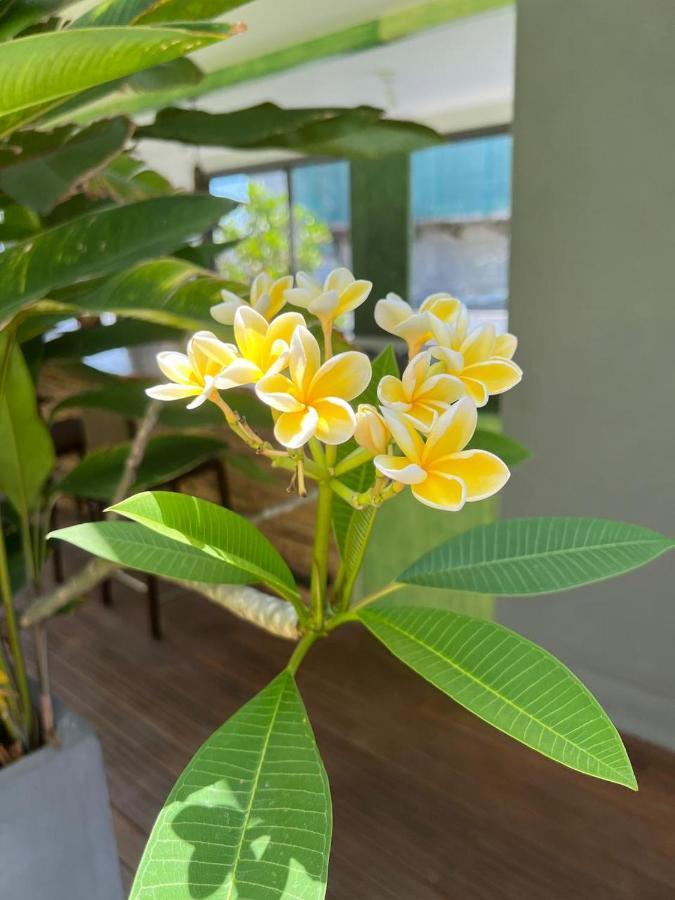 Vibe Hostel Colombo