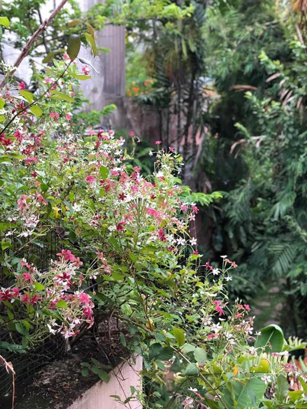 Highbury Homestay Colombo