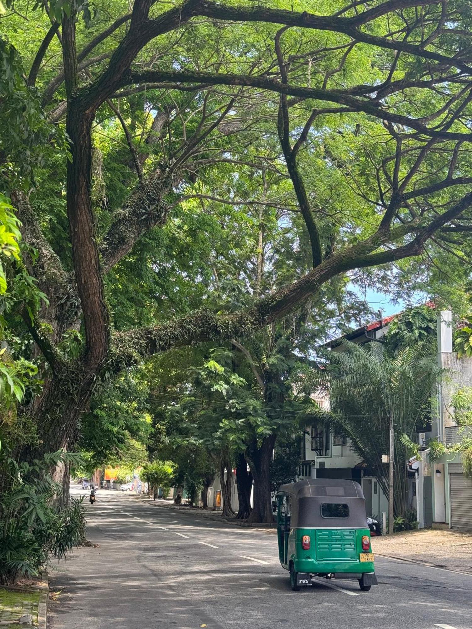 106 * Colombo
