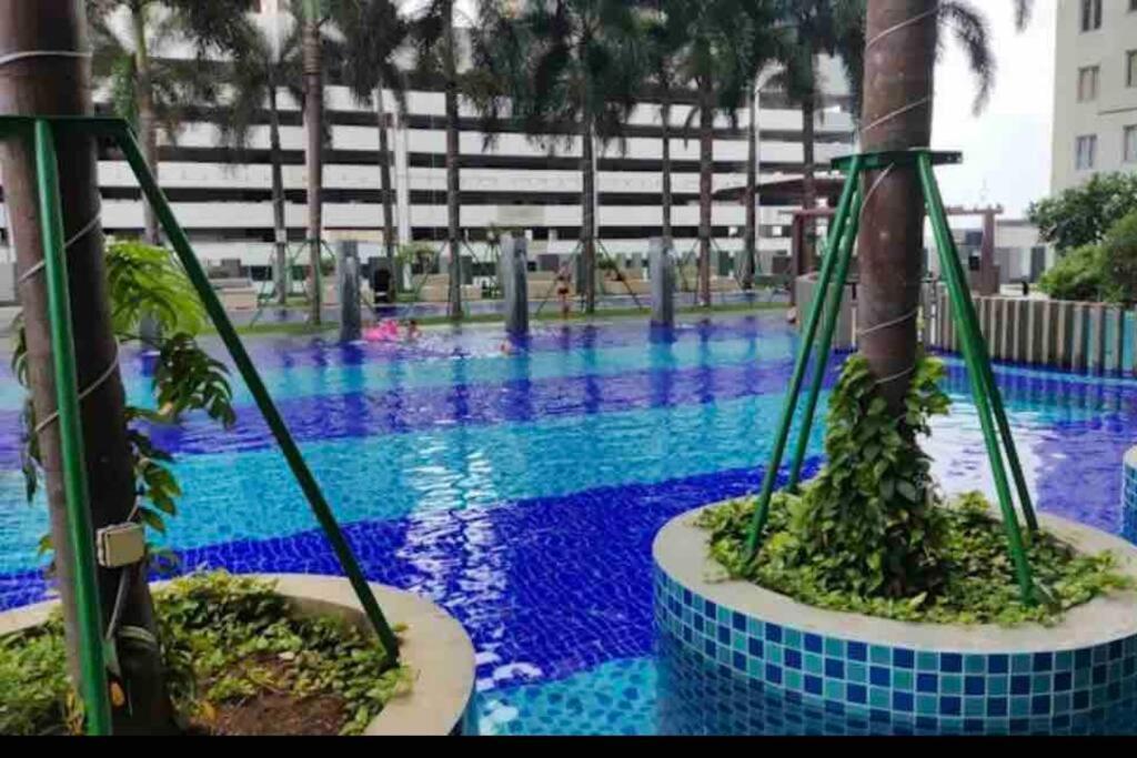 Apartamento 3 Bedrooms In *