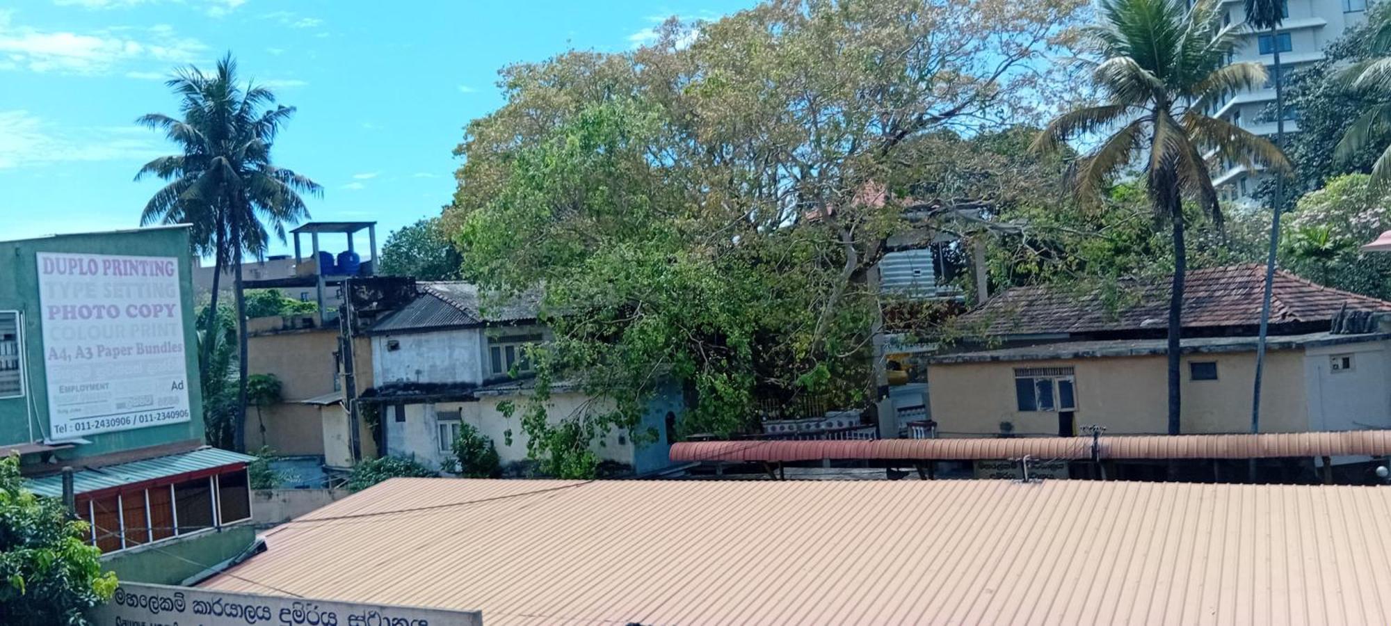 Downtown Monkey Backpackers Albergue Colombo