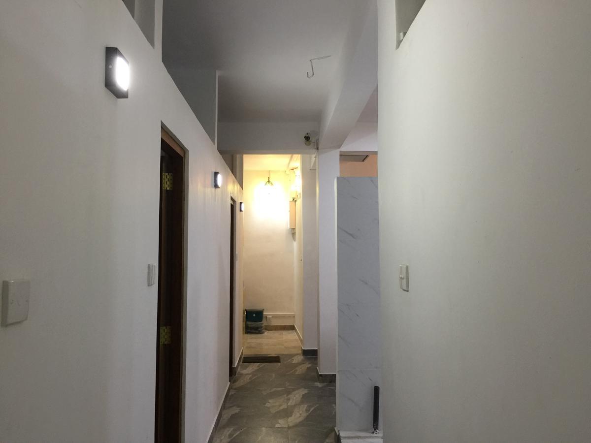 Downtown Monkey Backpackers Albergue *
