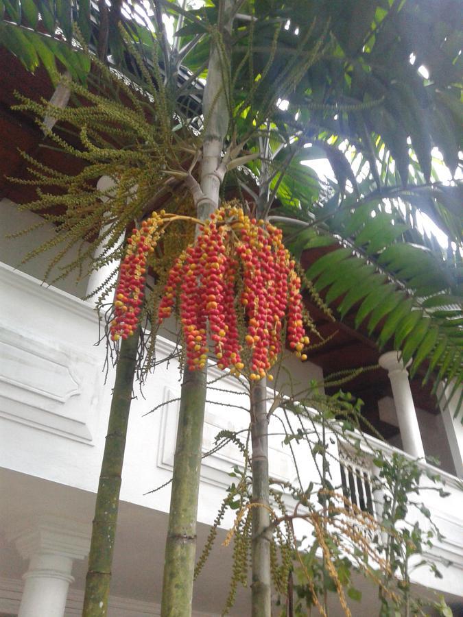 Resort Hareesha 2*