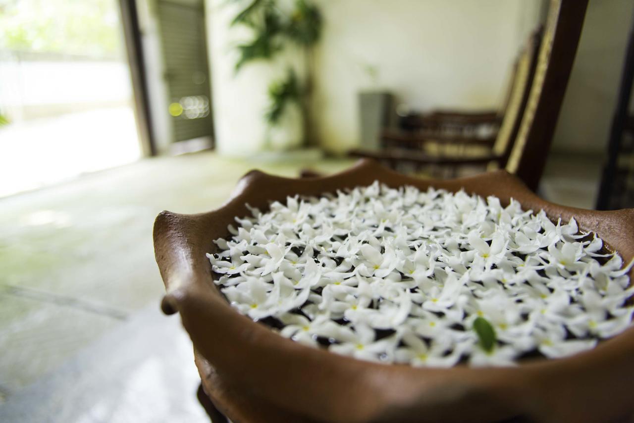 Sunshine Hotel Colombo