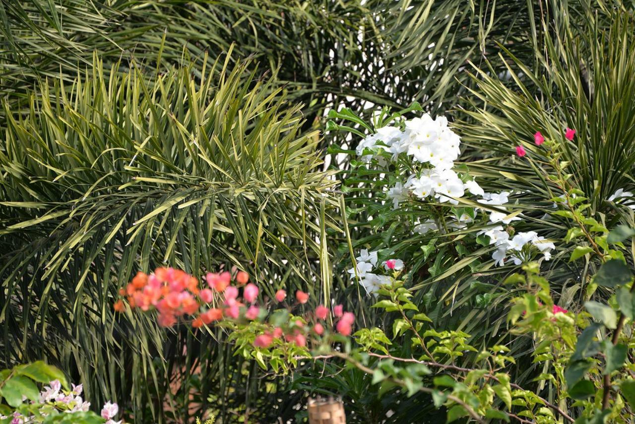 Casa de hóspedes Flower Road