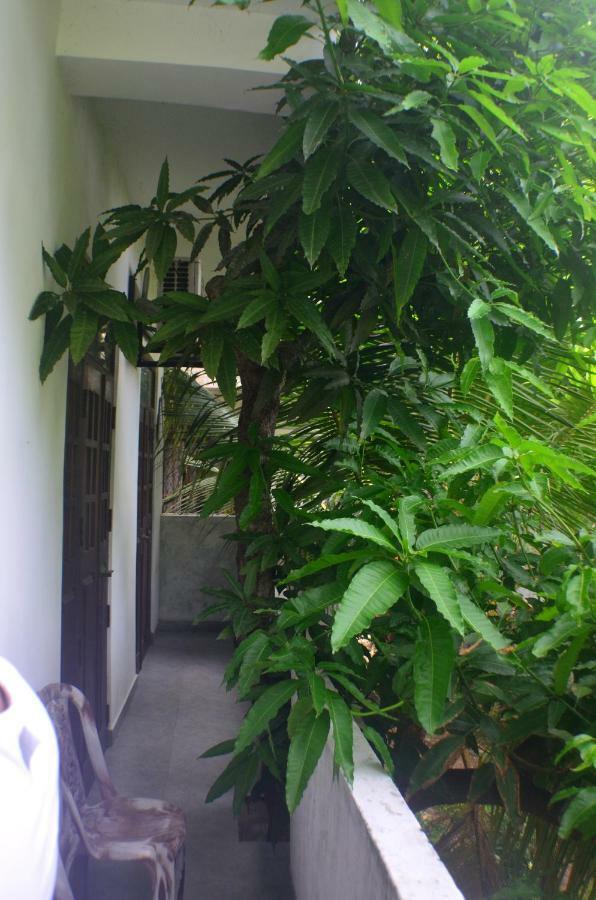 Steps Backpackers * Colombo