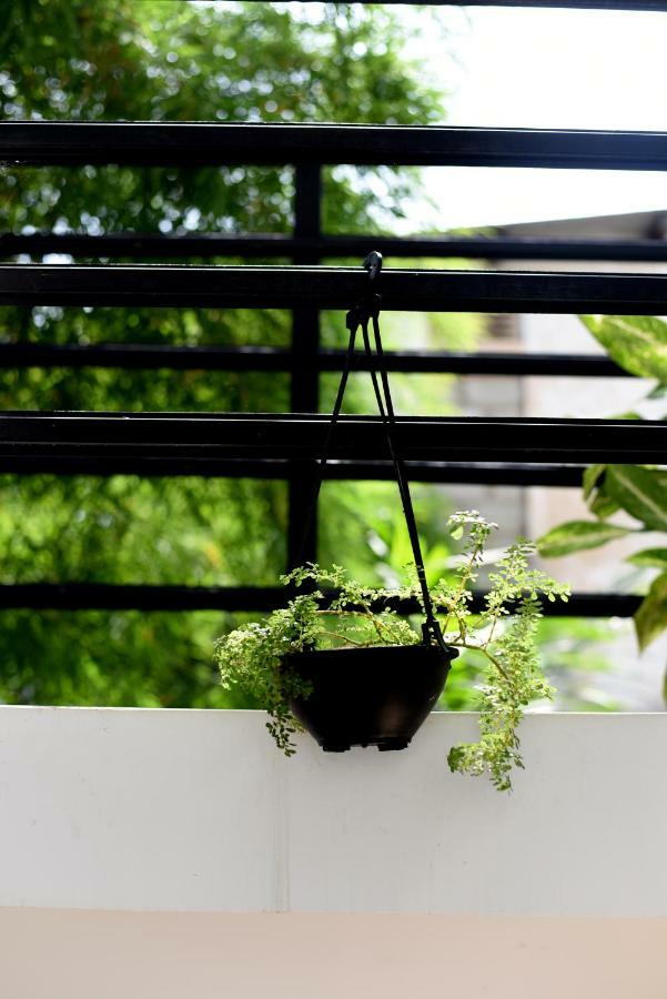 Steps Backpackers Colombo