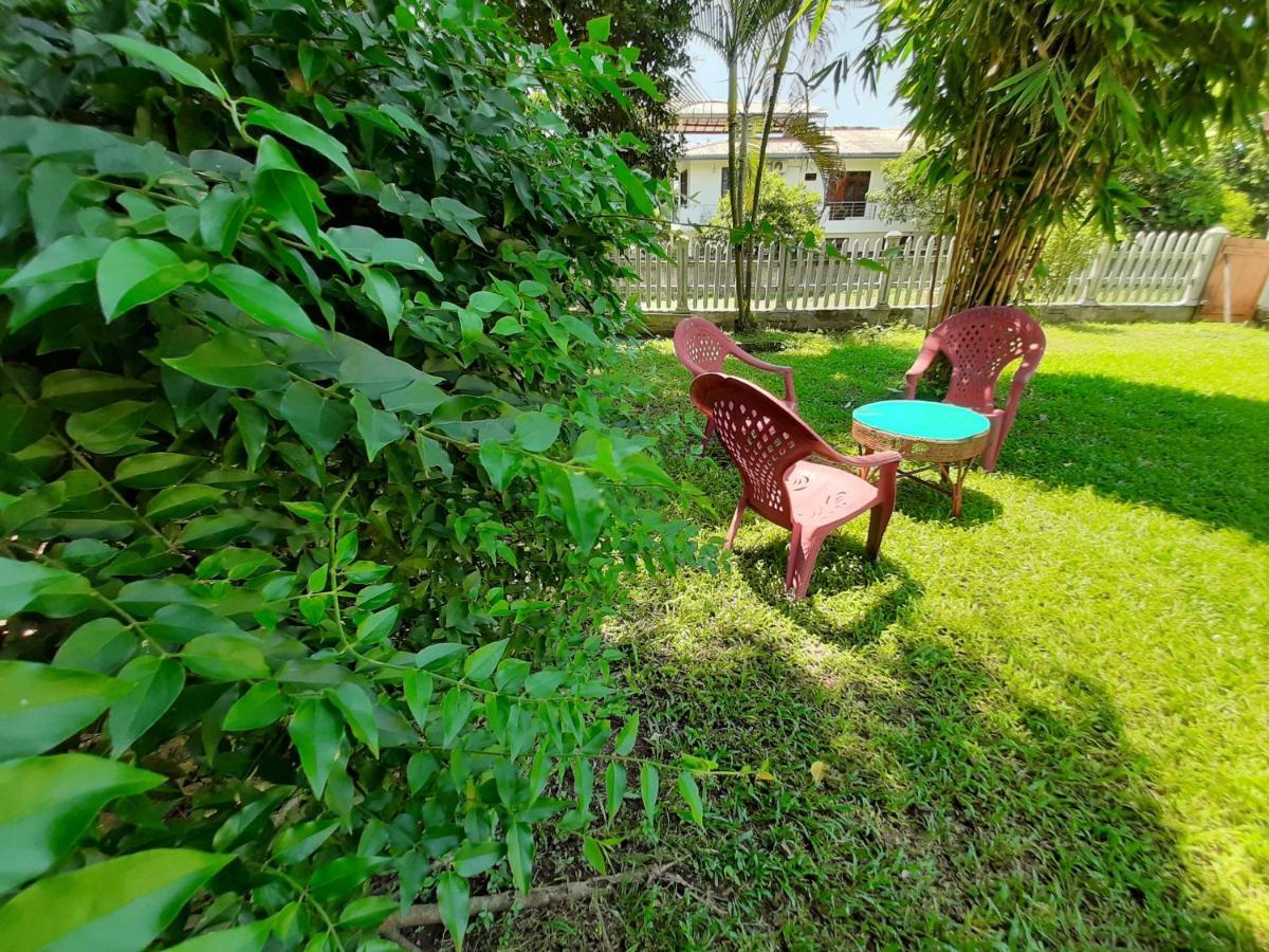 Green Garden Acomodação com café da manhã 