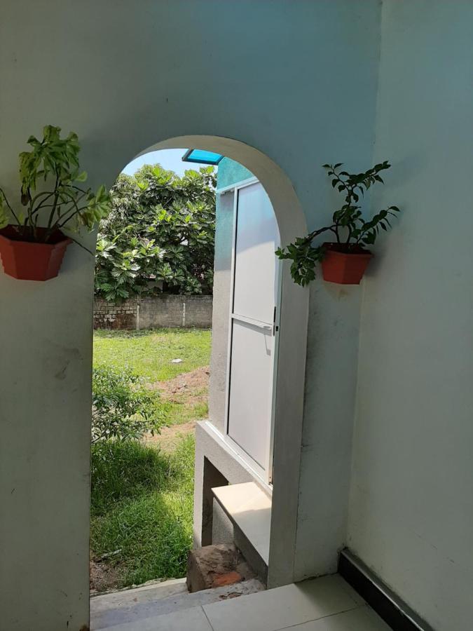 Green Garden *