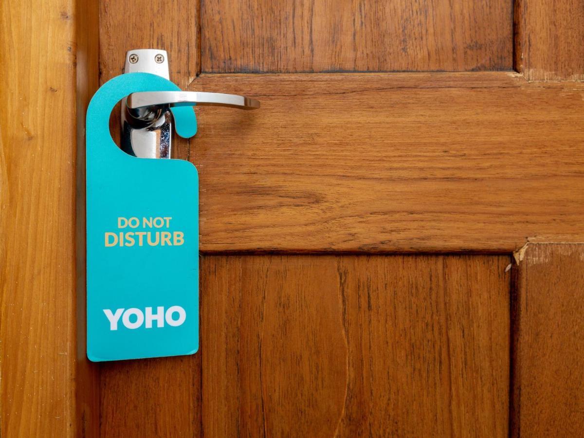 Yoho Serendipity